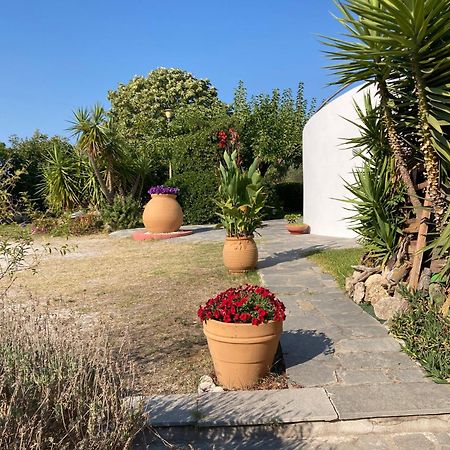 Marianna Sea View Afitos Daire Dış mekan fotoğraf