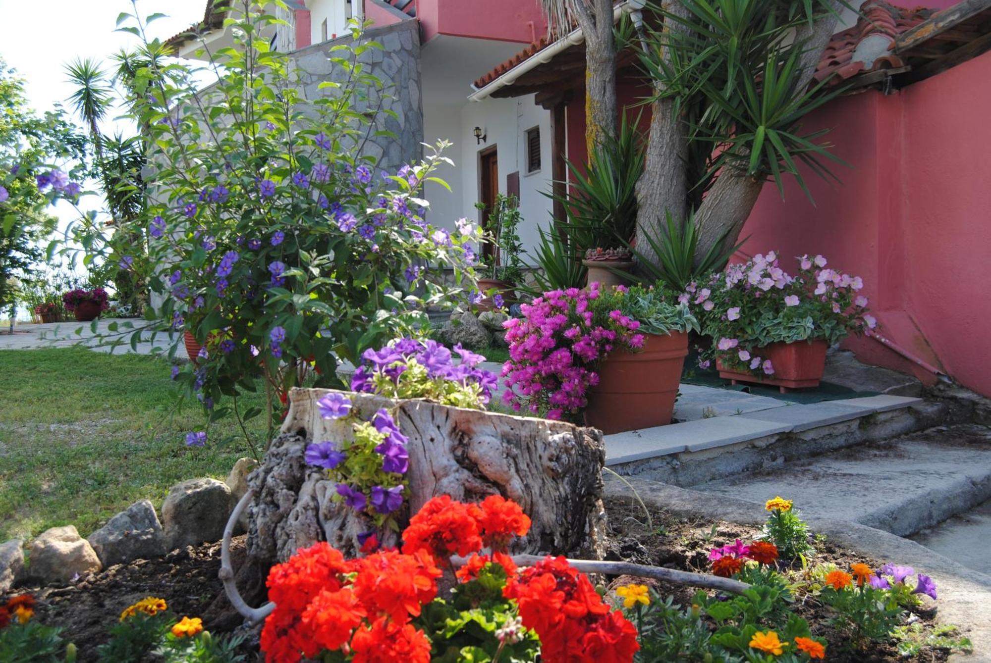 Marianna Sea View Afitos Daire Dış mekan fotoğraf