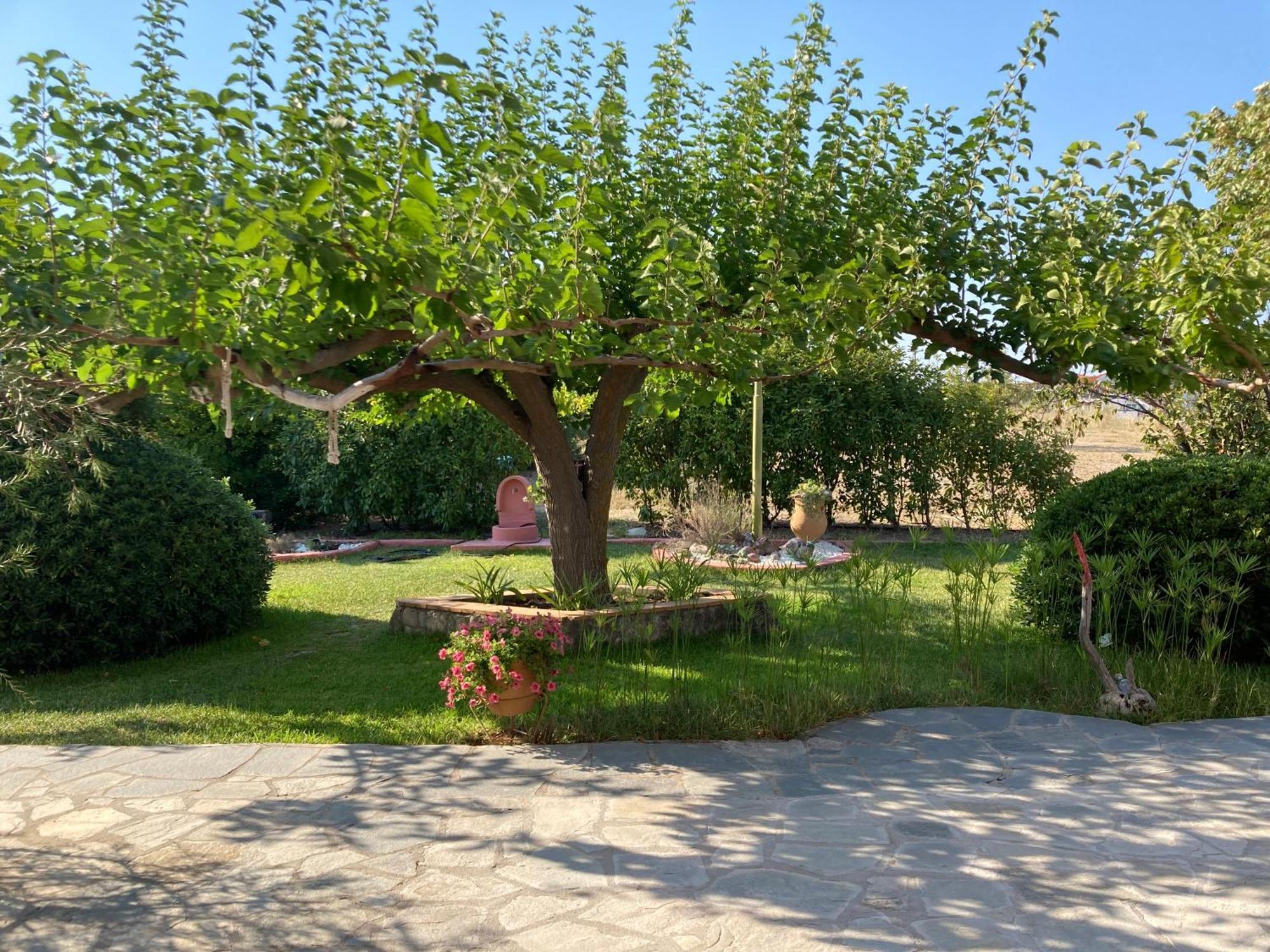 Marianna Sea View Afitos Daire Dış mekan fotoğraf